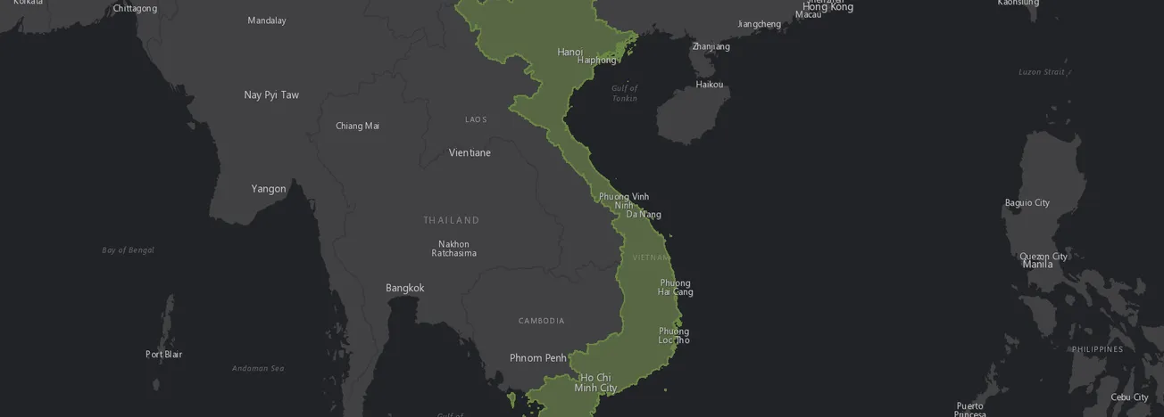 Vietnam Demographics Report
