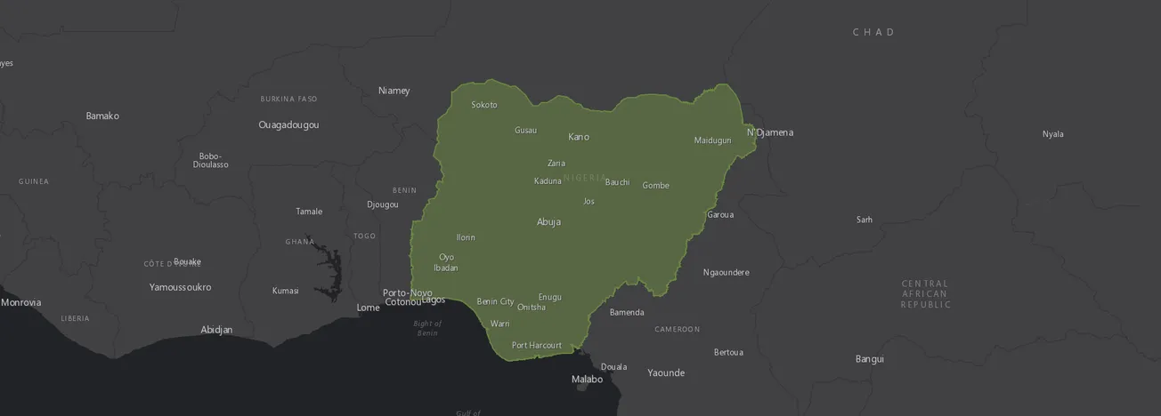 Nigeria Demographics Report