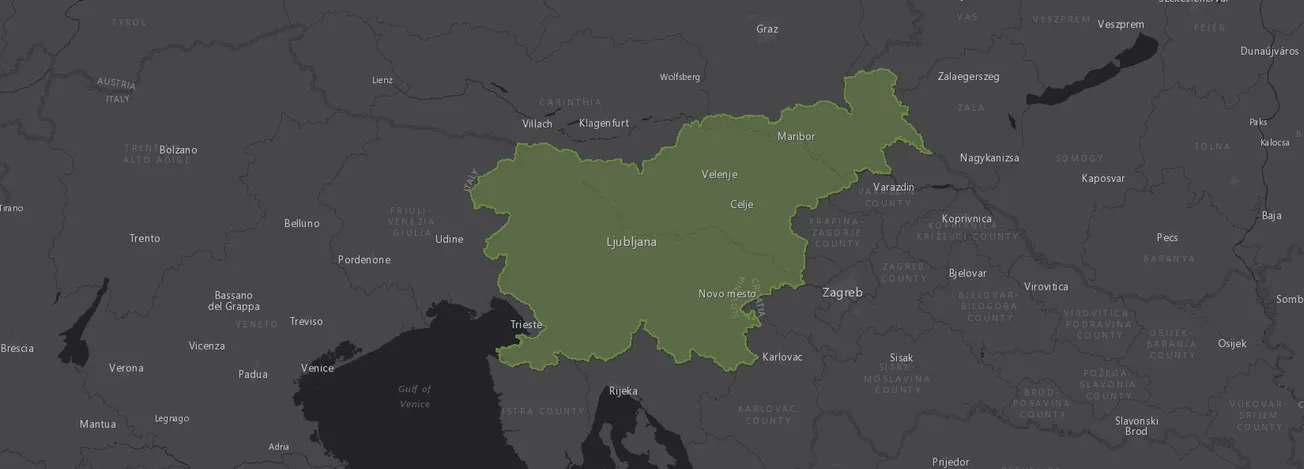 Slovenia Demographics Report