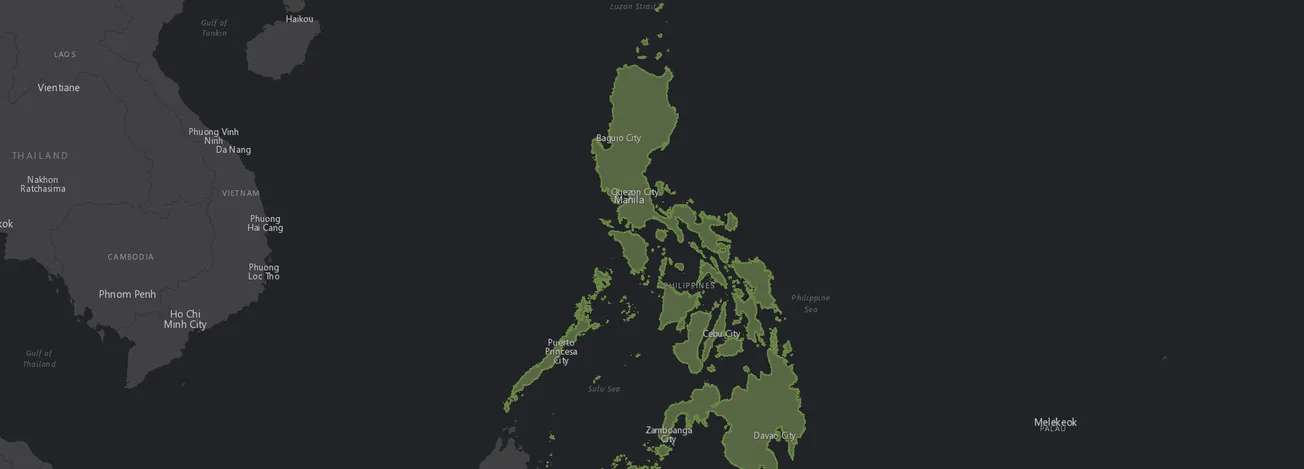 Philippines Demographics Report