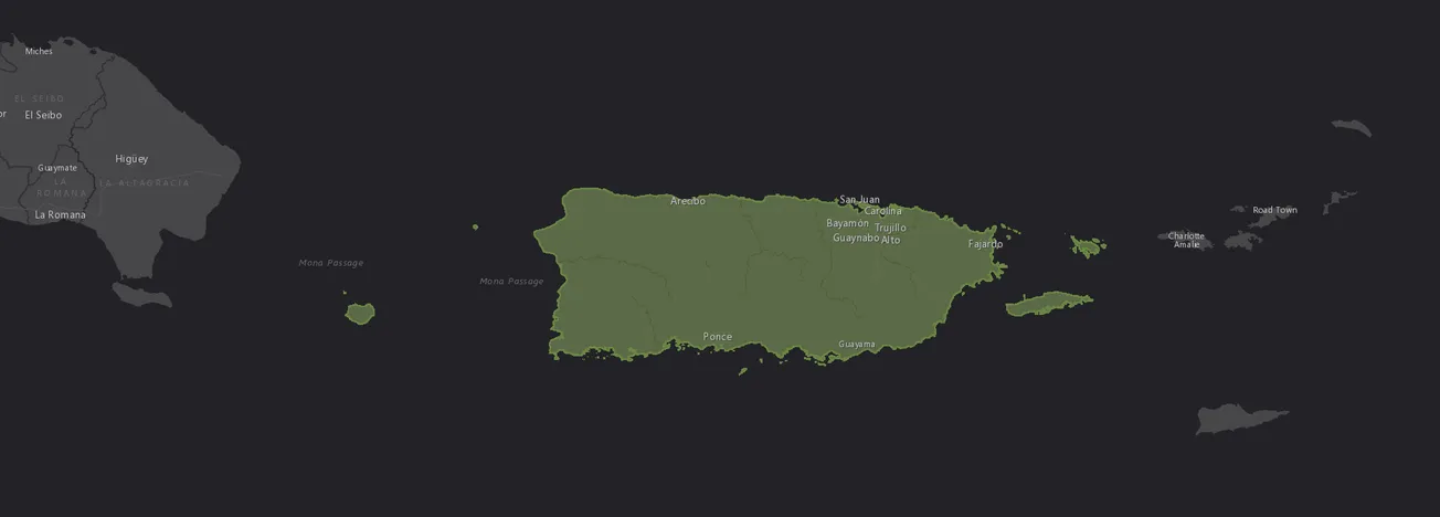 Puerto Rico Demographics Report
