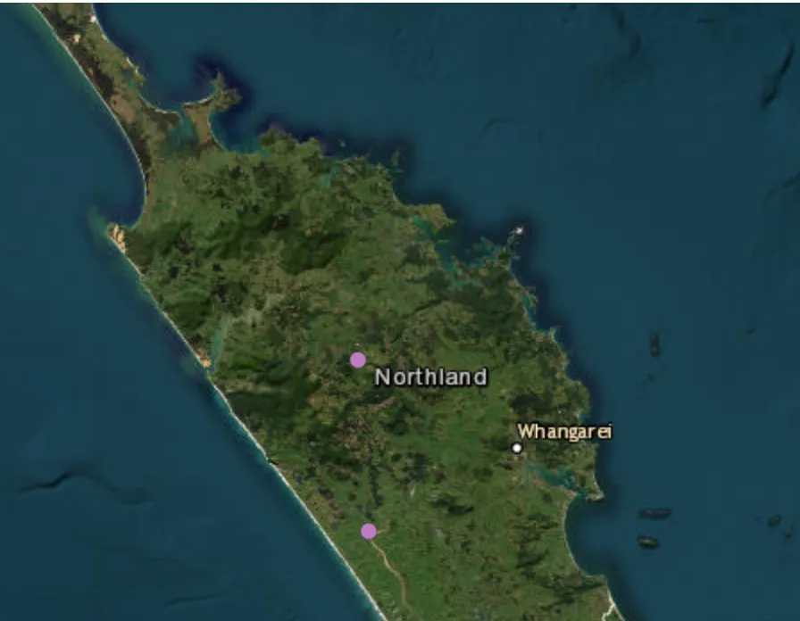 Helicopter crash in Northland