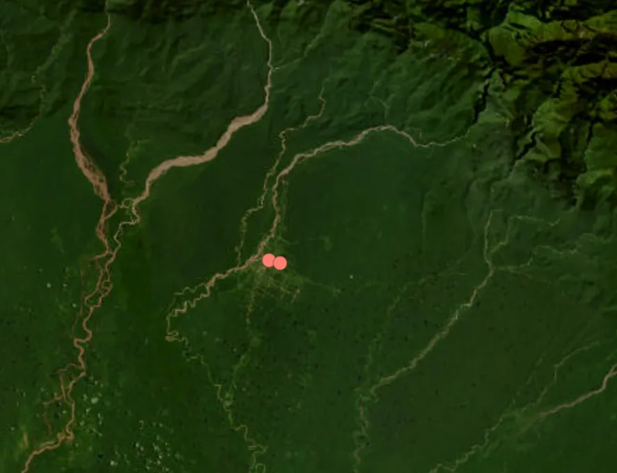 Papua rebels kill seven gold miners in Yahukimo district