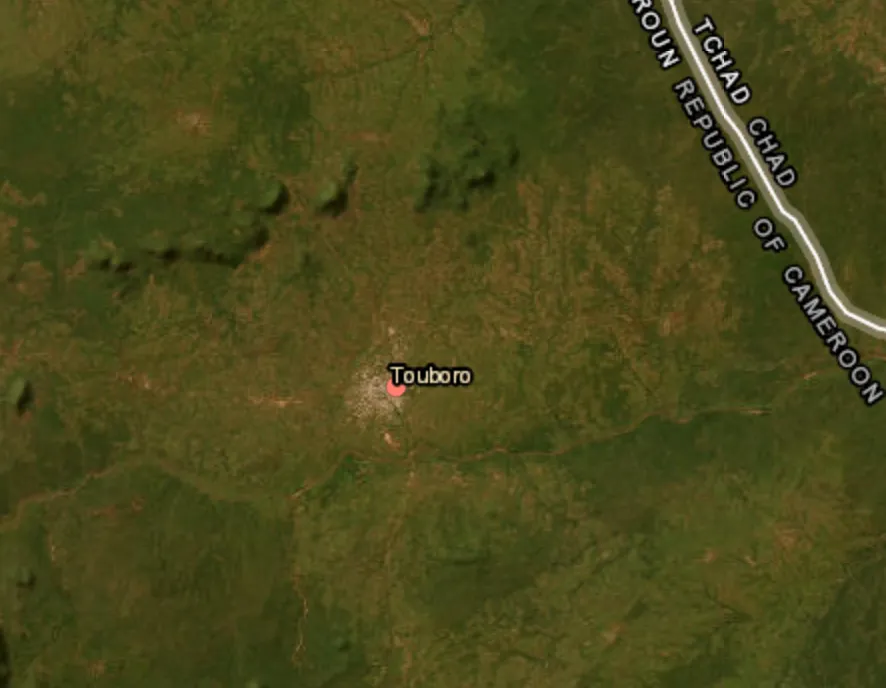 Armed assailants  abduct over 30 people in Cameroon
