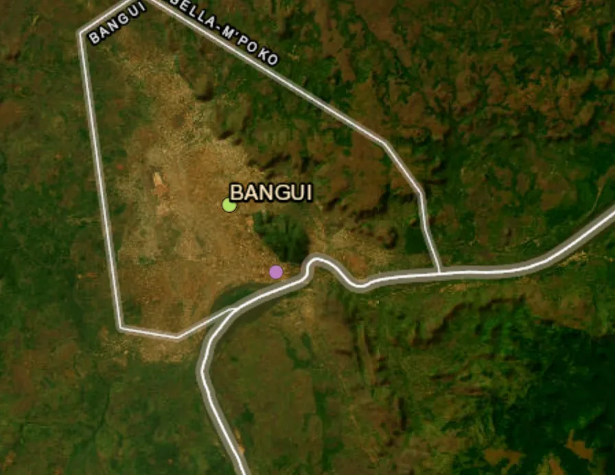 50 dead after boat capsized in Central African Republic