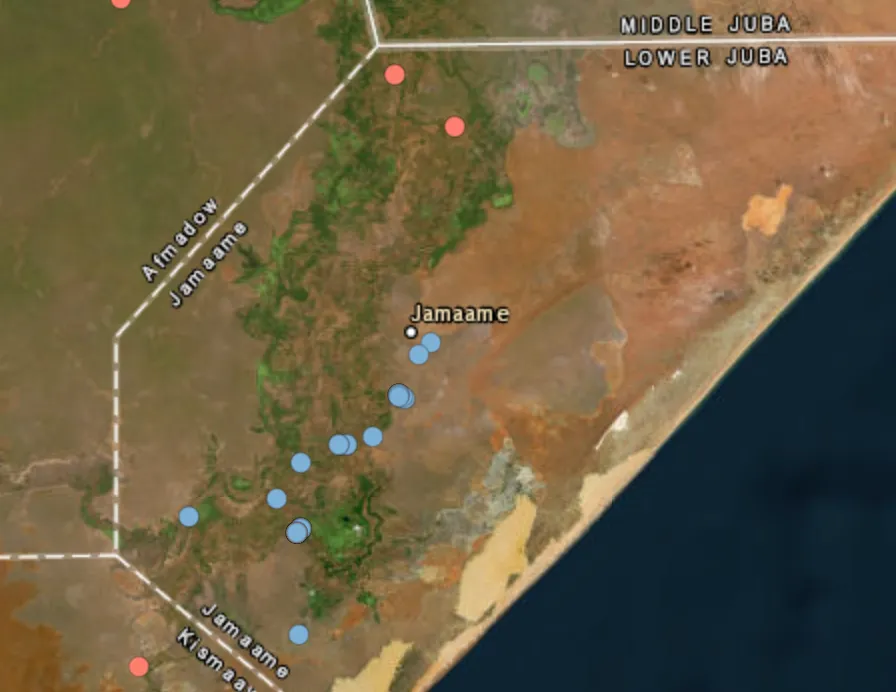 Somali forces kill 80 al-Shabab terrorists in Lower Juba